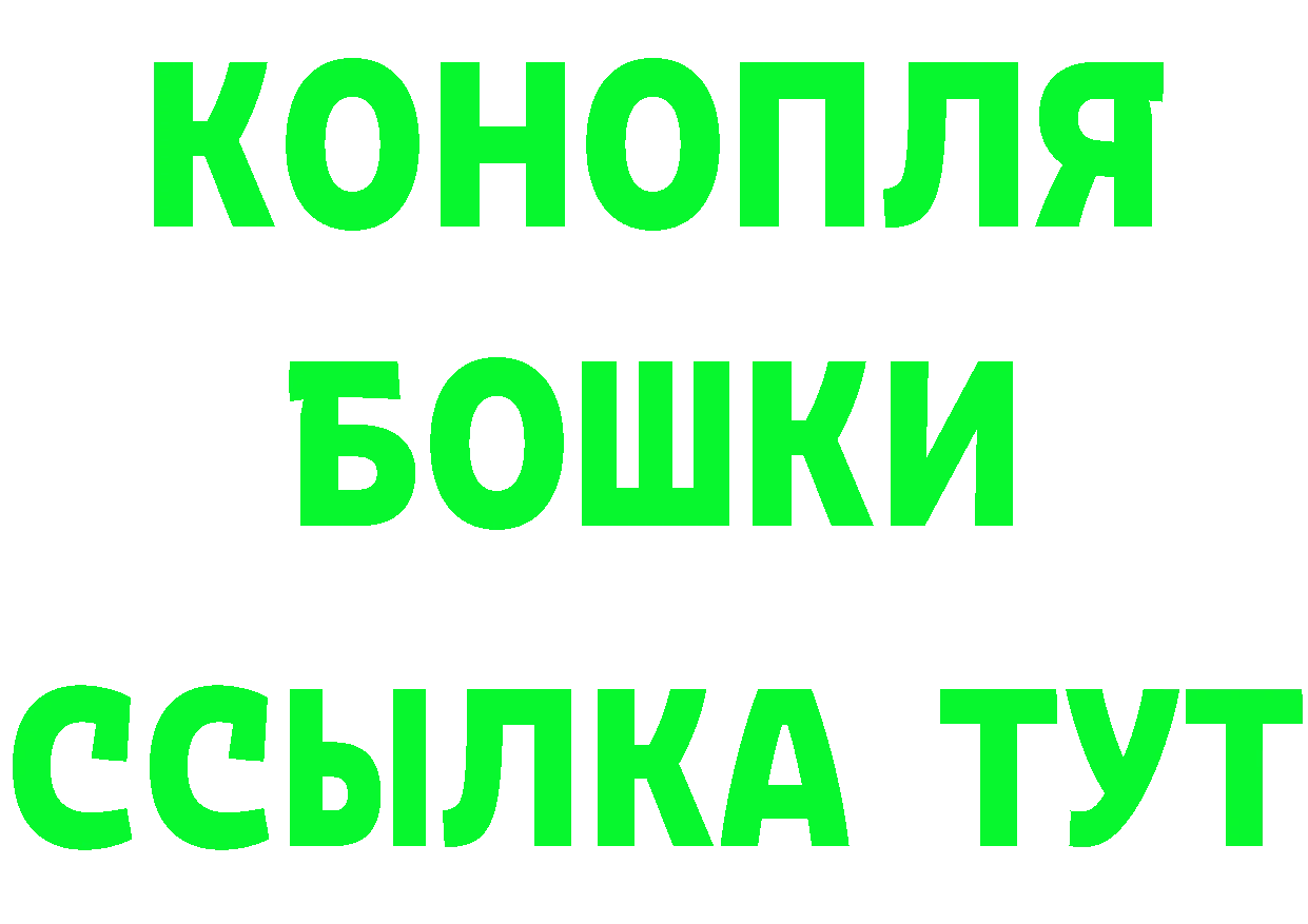 Альфа ПВП СК вход площадка KRAKEN Лесосибирск